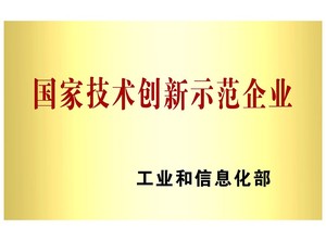 国家技术创新示范企业