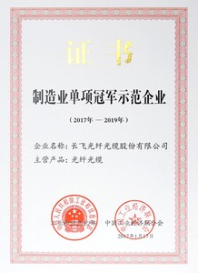 制造业单项冠军