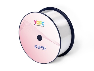 多芯光纤 (MCF)