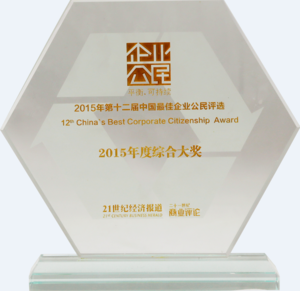 中国最佳企业公民年度综合大奖